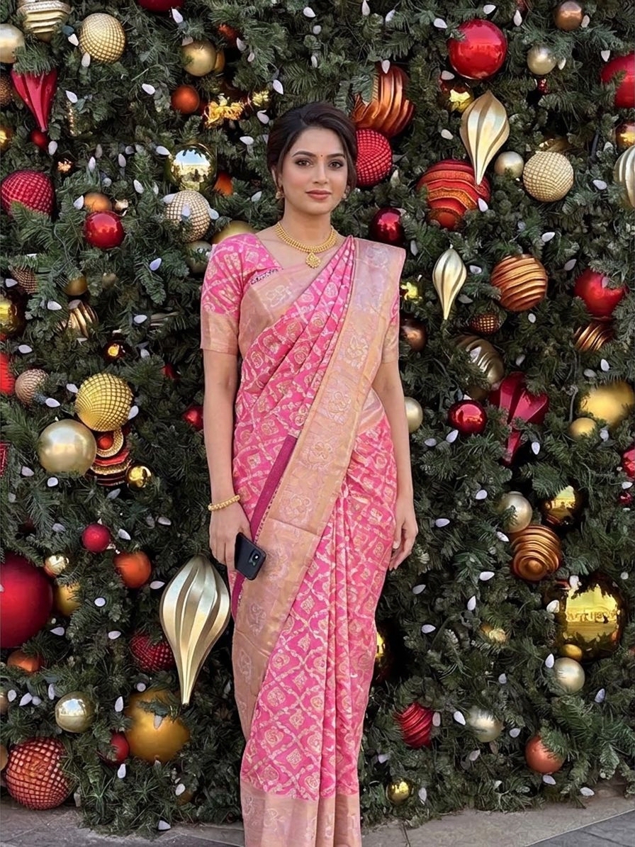 Virtual Try-On – saree preview 6